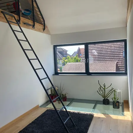 Maison D’architecte Située Sur La Route Des Vins * Châtenois