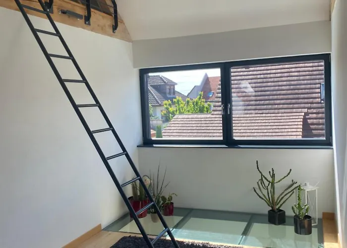 Maison D'architecte Situee Sur La Route Des Vins * Châtenois