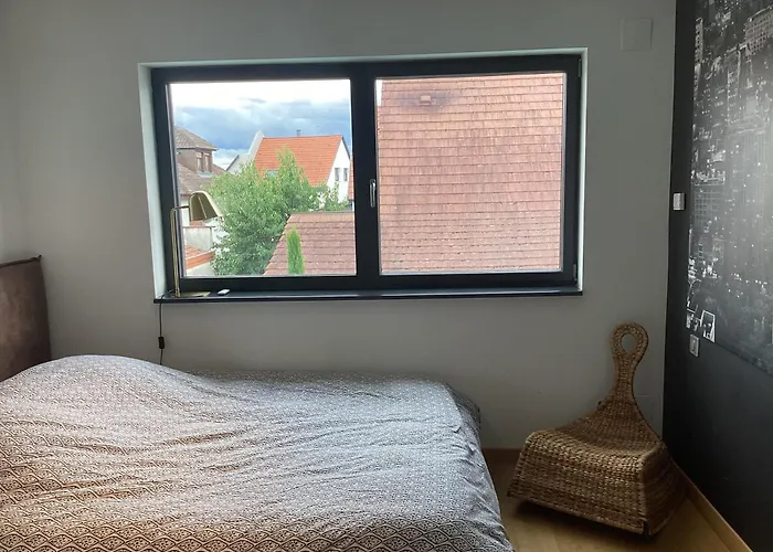 Maison D'architecte Situee Sur La Route Des Vins Villa Châtenois